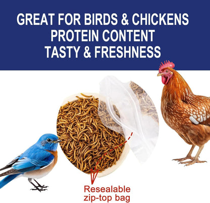 RANZ 8LBS Non-GMO Dried Mealworms for Chickens, High Protein Meal Worms, Premium Chicken Feed, Whole Large Mealworms for Blue Birds, Ducks, Fish