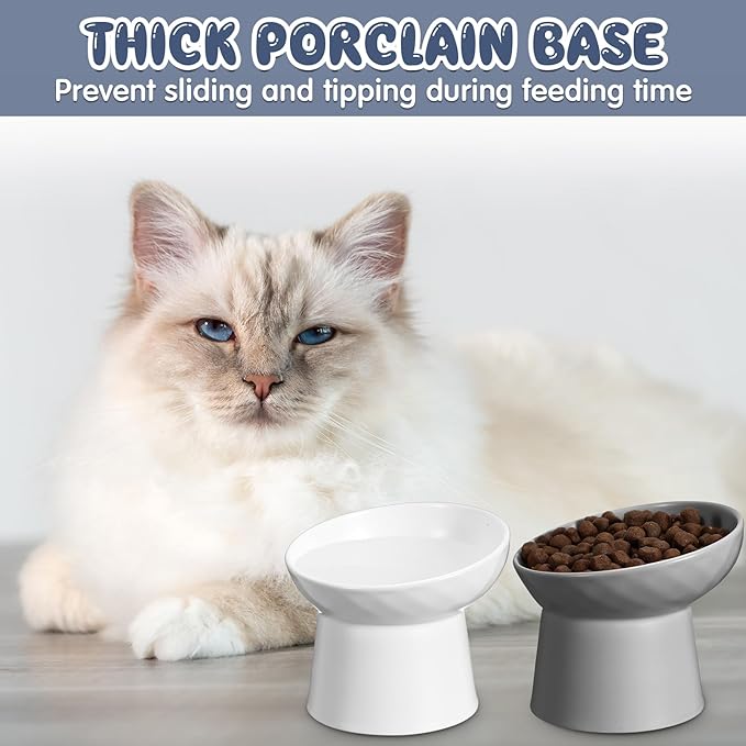 Tanlade 4 Pcs Ceramic Raised Cat Bowls, Elevated Tilted Cat Bowl, Stress Free, Backflow Prevention, Dishwasher and Microwave Safe for Indoor Kitten, Puppies(White and Grey)