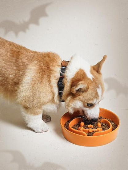 LE TAUCI Ceramic Slow Feeder Dog Bowls Small Breed, 0.6 Cups Dog Food Dish for Fast Eaters, Puzzle Bowl for Small Dogs and Cats,Pumpkin Orange