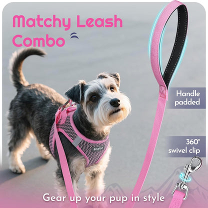 Eagloo Small Dog Harness and Leash Set, Step in Puppy Vest with Breathable Soft Mesh, Walking Reflective Pet Harness for Small Dogs, Pink, S