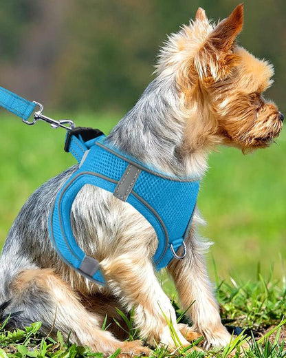 Joytale Small Dog Harness, Breathable Mesh Step-in Vest, Reflective Soft Padded Harnesses Small Sized Dog for Walking, Sky Blue, S