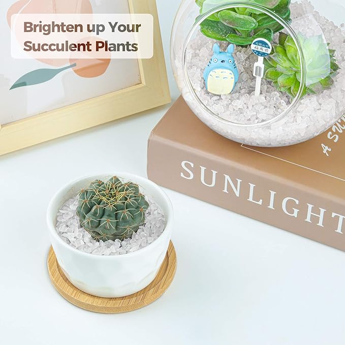 T4U Tumbled Chips Stones Crushed Crystal Quartz 1 LB, Irregular Shaped Gravels Pebbles Healing Stones, DIY Smoothed Rocks for Potted Plant,Resin Art,Vase Fillers Aquarium Gravel Rocks (Clear)