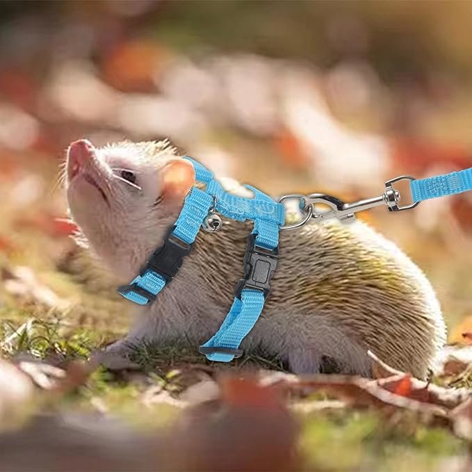 Adjustable Hedgehog Harness for Training Playing Traction Rope Small Animal Pet Outdoor Play (Blue, Small)