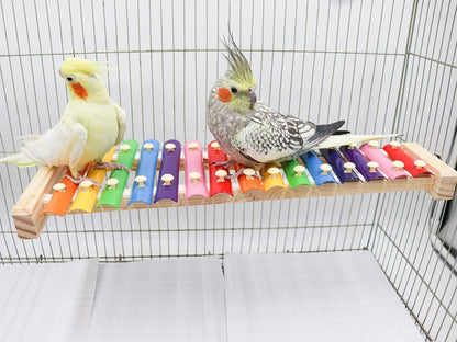 Dnoifne Colorful Bird Xylophone Toy, Funny Xylophone Toy with 16 Metal Keys, Cage Accessories for Chicken Chick Birds Parrots Parakeets Cockatiels Budgies Love Birds