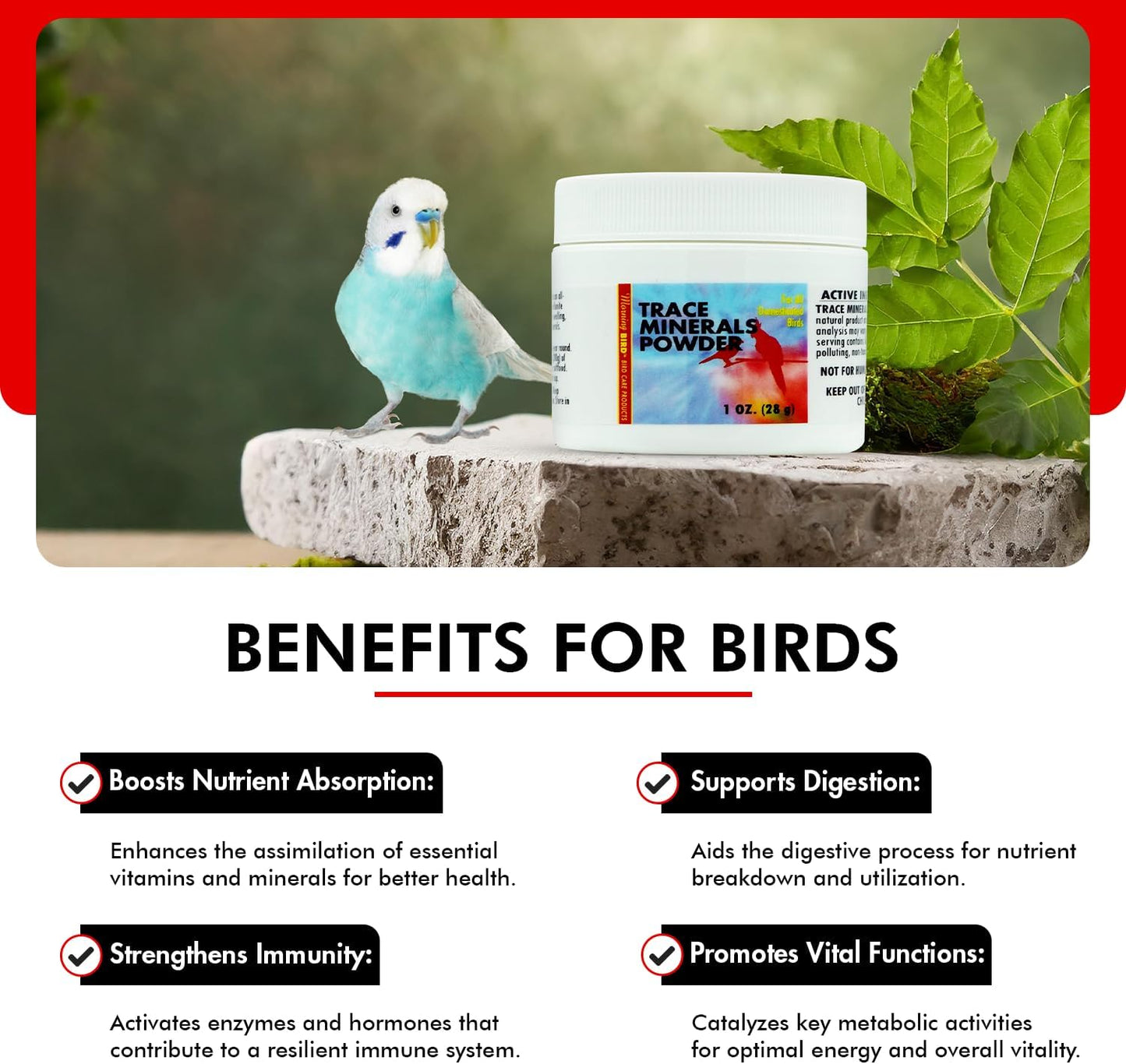 Morning Bird Trace Minerals Powder 1 Oz – Complete Mineral Supplement for Birds – Promotes Energy, Metabolism & Enzyme Activity – Easy to Mix for Daily Vitamin Support.