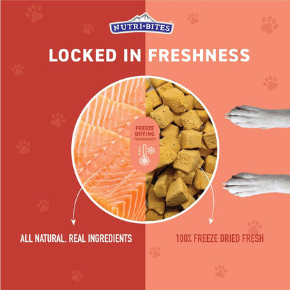 Nutri Bites Freeze Dried Salmon Dog & Cat Treats | Healthy Pet Training Treats or Food Topper | All Natural, 1 Single Animal Protein, High Protein | Premium Bulk Value Pack, 14 oz