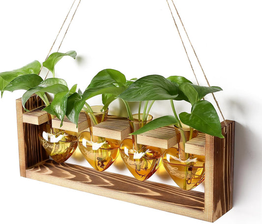 Plants Propagation Stations Plant Terrarium Kit for Bathroom Glass Planters for Indoor Plants Bathroom Decor Accessories - Relax Soak Unwind Breathe