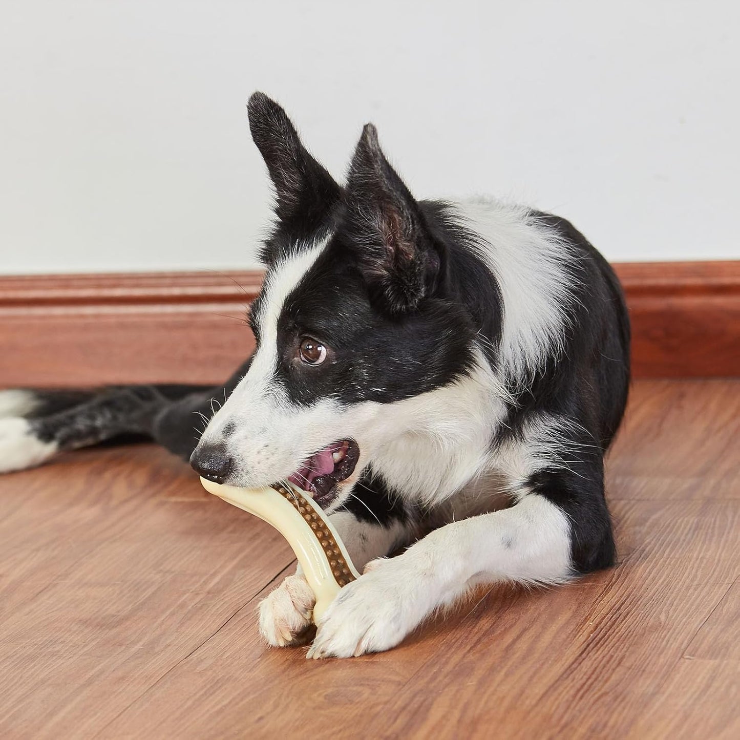 Dog Chew Toys for Aggressive Chewers, 4 Pack Beef Flavor Tough Dog Bones for Large/Medium Breed Dogs, Nylon Pet Teething Toys