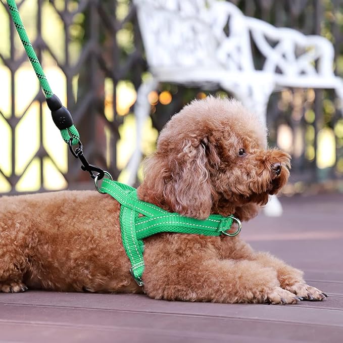 Plutus Pet No Pull Dog Harness with Breathable Mesh Padded, Adjustable Reflective Escape Proof Dog Harness, Quick Fit Dog Vest Harness for Small Medium Large Dogs(XXS, Green)