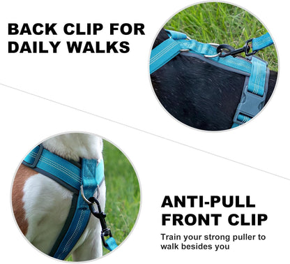 Plutus Pet No Pull Dog Harness, Adjustable Nylon Harness with Soft Padding, Reflective and Heavy Duty Dog Harness for Small, Medium, Large Dogs(Cyan, XS)