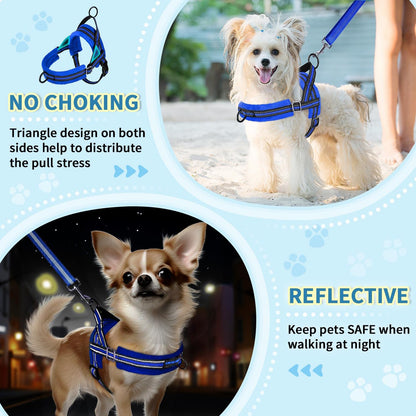 Lukovee No Pull Dog Harness and Leash Set, Soft Padded Small Dog Harness, Neck & Chest Adjustable Reflective Vest Puppy Harness with 4ft Lightweight Anti-Twist Dog Leash for Small Dogs (Blue, Large)