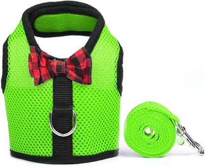 Rypet Small Animal Harness and Leash - Soft Mesh Pet Harness with Safe Bell, No Pull Comfort Padded Vest for Small Pets Green