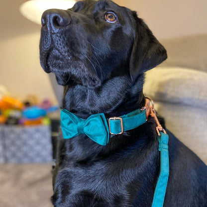 PETDURO Custom Dog Collar Personalized with Name Engraved Gold Metal Buckle for Large Medium Small Dogs - Soft Cute Velvet Dog Leash and Bow Tie Available (Christmas Green RG, XS)