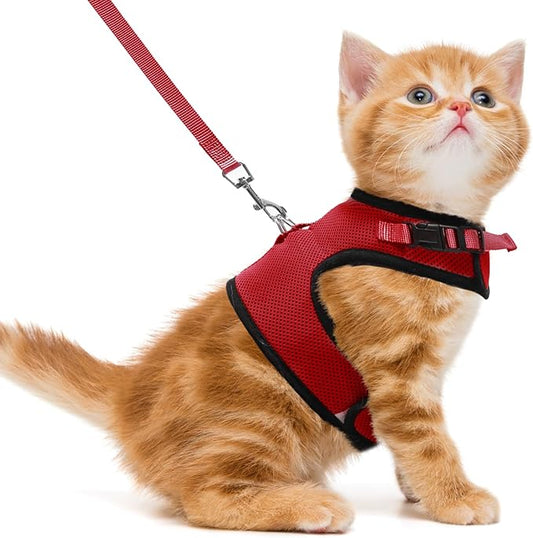 PUPTECK Soft Mesh Cat Vest Harness and Leash Set Puppy Padded Pet Harnesses Escape Proof for Cats Small Dogs, Red Small