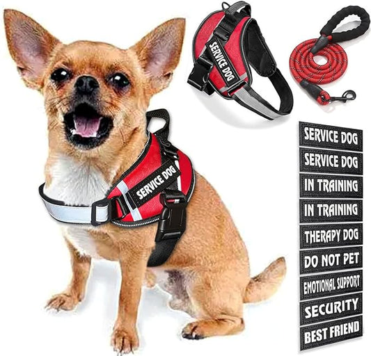 Service Dog Vest, 9 Dog Patches No Pull Dog Harness and Leash Set with Handle,Easy On and Off Pet Vest Harness with Night Safe Reflective Straps for Small Medium Large Breed Dogs