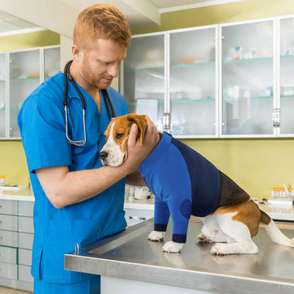 LeLePet Dog Recovery Suit for Front Legs, Dog Sleeve to Stop Licking, Elbow Protector for Leg Injuries Shoulder Wounds After Surgery Male Female,Zippered Long-Sleeved Shirt Cone Alternative(S-3XL)