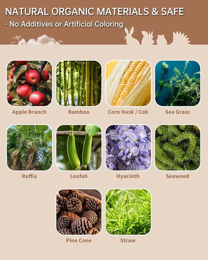 31PCS Rabbit Chew Treat Toys for Teeth Health, Natural Bunny Enrichment Toys for Boredom & Stress Relief, Keep Busy Toys for Guinea Pig Chinchilla Hamster Rat Gerbil Degu Indoor Outdoor