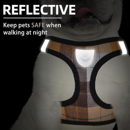 PUPTECK Adjustable Dog Harness Collar and Leash Set Step in No Pull Pet Harness for Small Medium Dogs Puppy and Cats Outdoor Walking Running, Soft Mesh Padded Reflective Vest Harnesses, Orange XS