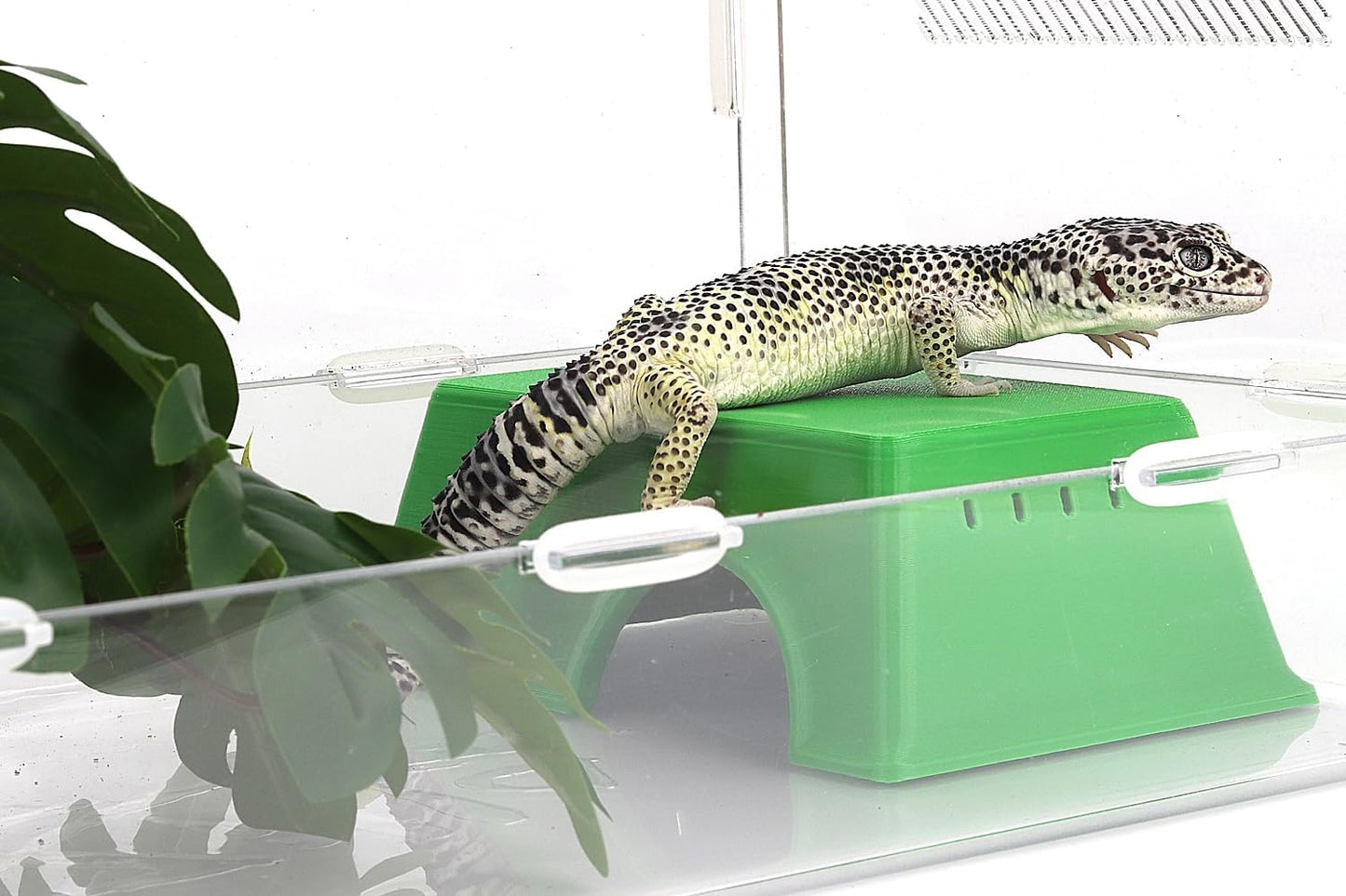 Snake Hide, Leopard Gecko Tank Accessories for Reptile Ball Python Crested Gecko Lizard Bearded Dragon - GreenHideM