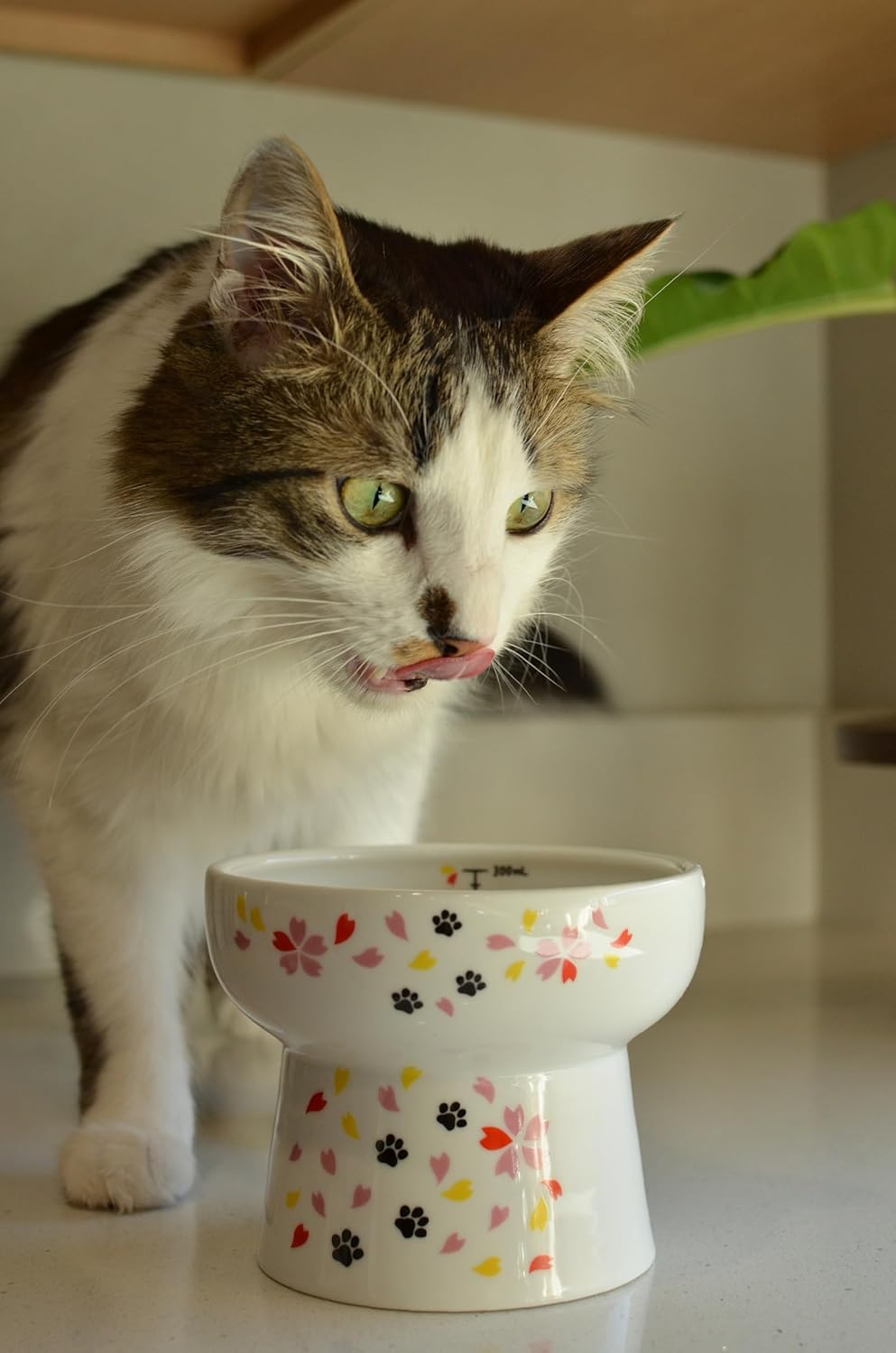 Necoichi Elevated Cat Water Bowl – Ceramic Raised Cat Bowl, Prevents Neck & Whisker Fatigue – Dishwasher & Microwave Safe – Pet Water Bowl for Cats (Sakura Floral, Extra Tall)