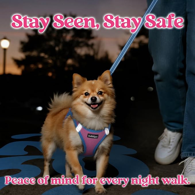 rabbitgoo Dog Harness Small Sized and Leash Set, Step-in Breathable Pet Harness, Soft Walking Reflective Puppy Vest for Small Dogs, Pink & Light Blue, M