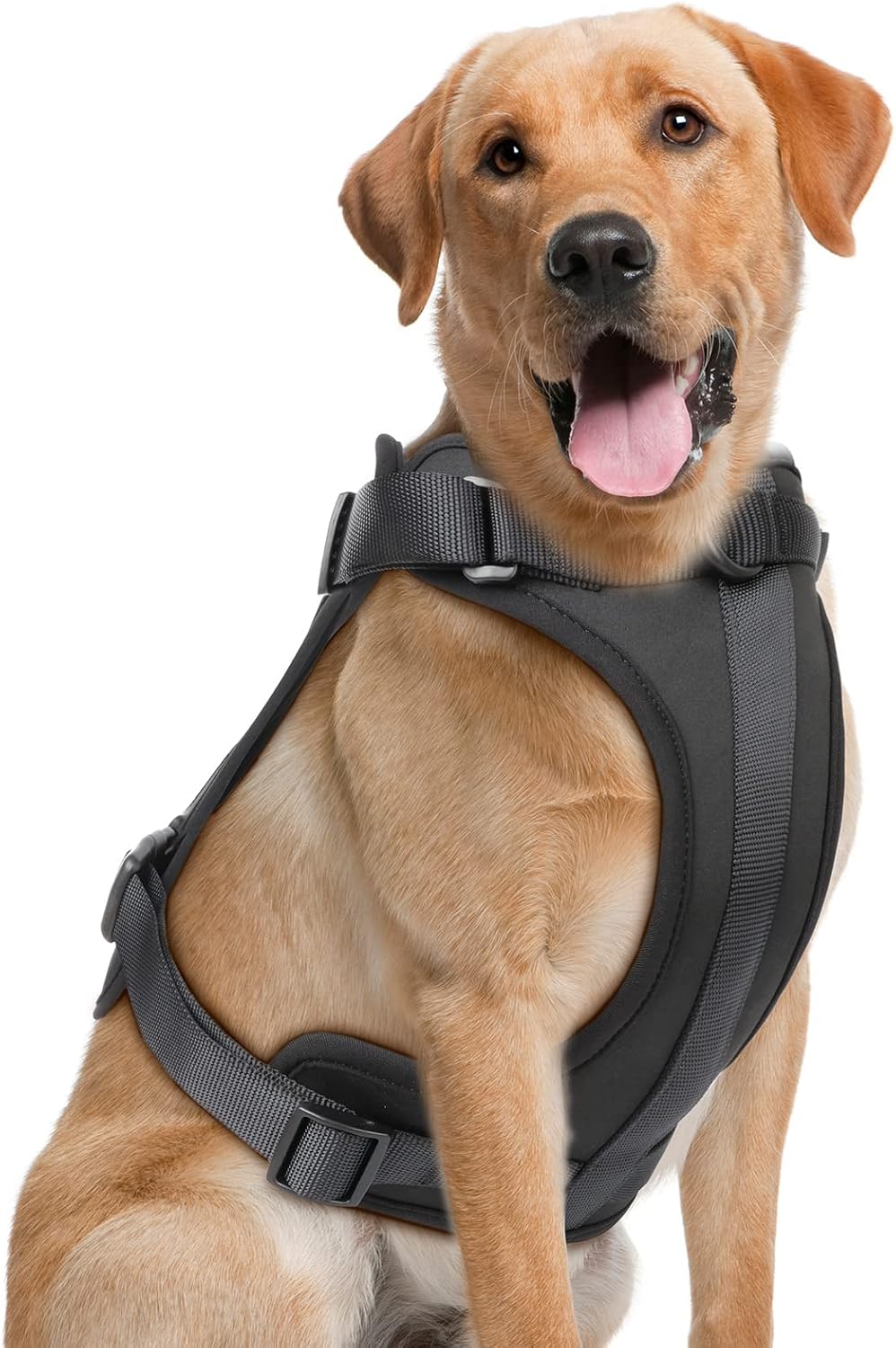 Wisedog No Pull Lightweight Dog Harness: Adjustable Breathable Mesh Pet Vest Harness with Soft & Comfortable Cushion, for Small Medium Large Dogs (Large, Black)