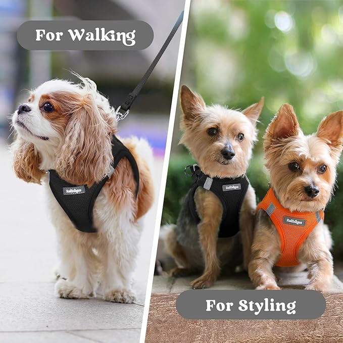rabbitgoo Small Dog Harness, Step-in Soft Mesh Puppy Vest with Safety Buckle, Breathable Reflective Pet Harness for Small Sized Dogs, Black XS