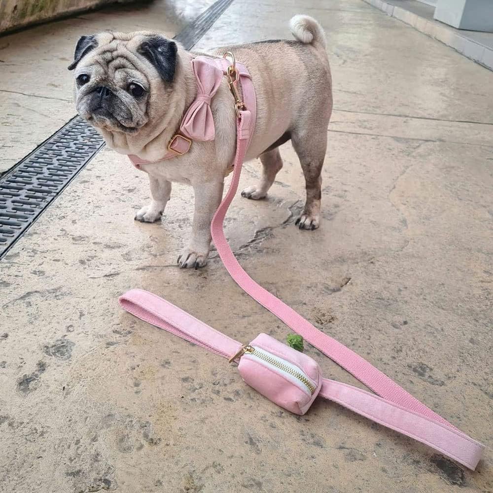 PETDURO Custom Dog Collar Personalized with Name Engraved Quick Release Rose Gold Metal Buckle for Large Medium Small Girl Dogs - Dog Leash and Bow Tie Available - Soft Comfy Velvet (Pink, L)