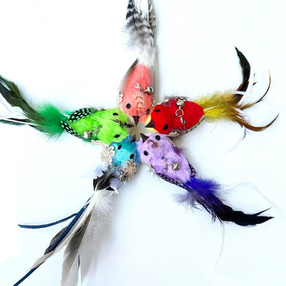 Cat Wand Toy, 6 Pieces Interactive Cat Wand Bird Feather Toys for Indoor Cats Play Exercise