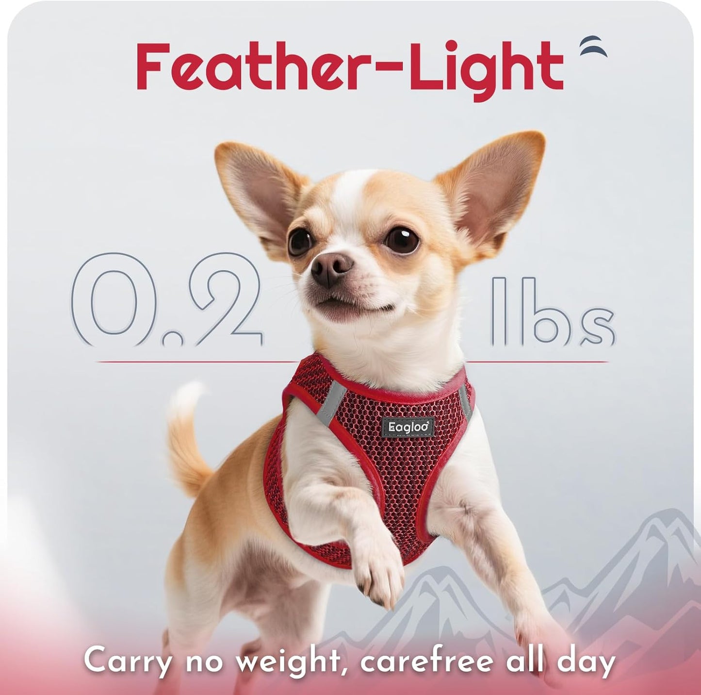 Eagloo Small Dog Harness and Leash Set, Step in Puppy Vest with Breathable Soft Mesh, Walking Reflective Pet Harness for Medium Small Dogs, Red, M