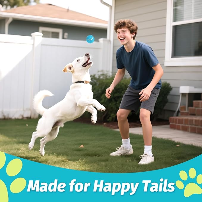 Prime Pets Tennis Balls for Dogs, 2.5 Inch, 12 Pack, Squeaky Dog Toy, Interactive Pet Fetch Ball for Medium and Large Dogs, Squeaky Dog Toys (Random Color Shipping)