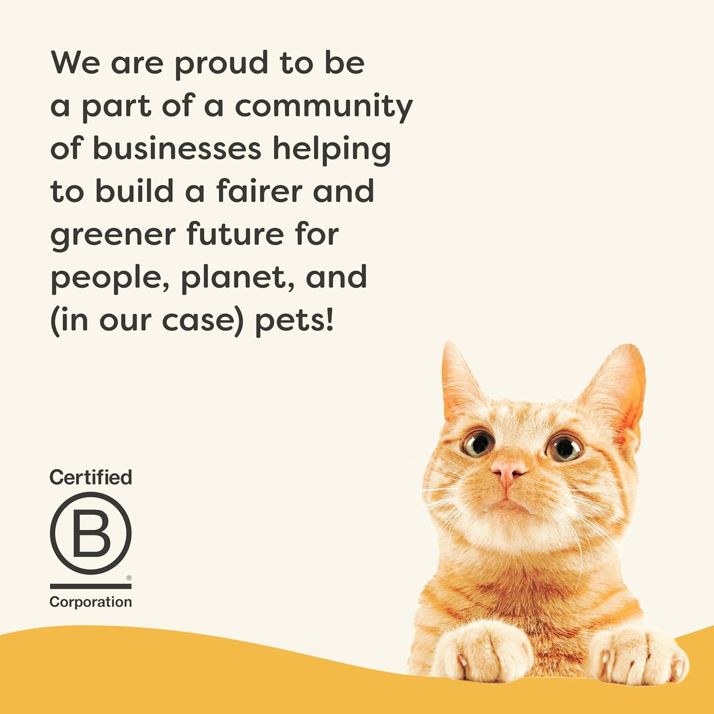 Applaws Vitality Wet Cat Food Paté, Natural Cat Food with Added Vitamins & Minerals, Grain-Free, Carrageenan Free, Chicken Breast Recipe (24 Count, 2.47 oz Cans)