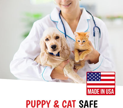 Warren London 10-in-1 After Bath Dog Spray | Leave-in Conditioner & Detangler for Dogs | Aloe Vera, Silk Amino Acids & Green Tea | Fresh Scent | 4oz Travel Size | Made in USA