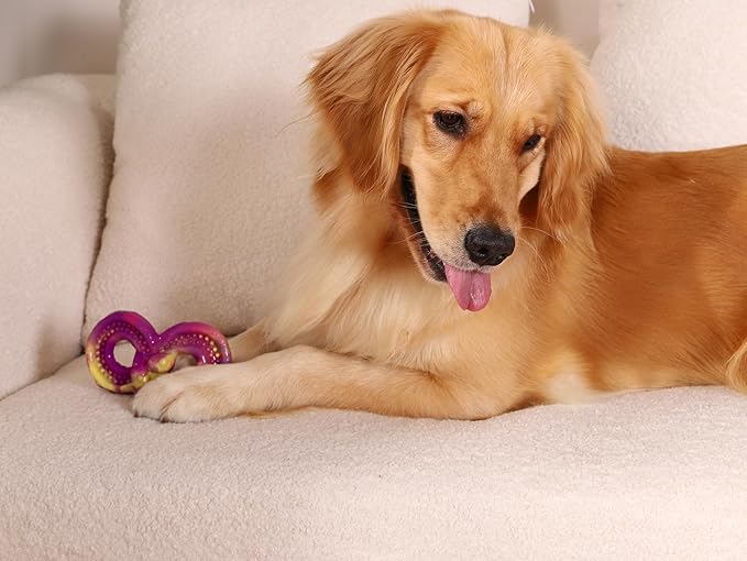 WinTour Dog Chew Toys for Aggressive Chewers 3 Pack, Indestructible Dog Toy to Keep Them Busy, Tough Dog Toys for Aggressive Chewers for Small, Medium and Large Breeds, Beef Flavor, Purple