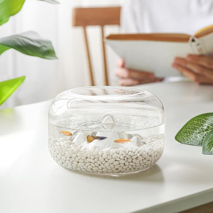 T4U Tumbled Chips Stones Crushed White Gravels 1 LB, Irregular Shaped Natural Rock Pebbles, DIY Polished Rocks for Potted Plant,Bonsai,Vase Fillers Aquarium Decoration, Aquarium Gravel Rocks