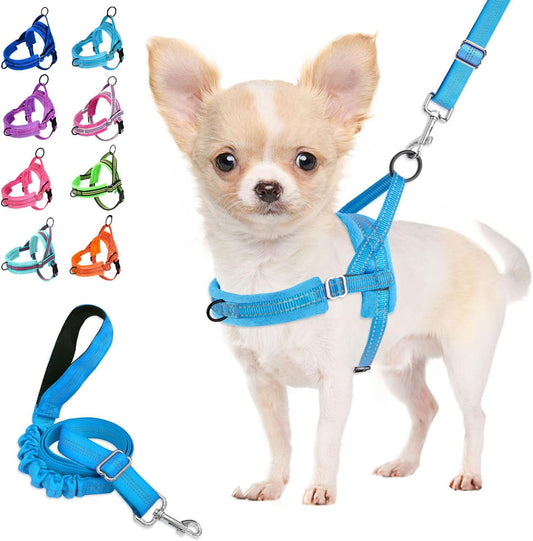 Lukovee No Pull Dog Harness and Leash Set, Soft Padded Small Dog Harness, Neck & Chest Adjustable Reflective Vest Puppy Harness with 4ft Lightweight Anti-Twist Dog Leash for Small Dogs (LBL, S)
