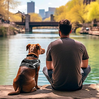 Service Dog Vest, 9 Dog Patches No Pull Dog Harness and Leash Set with Handle,Easy On and Off Pet Vest Harness with Night Safe Reflective Straps for Small Medium Large Breed Dogs