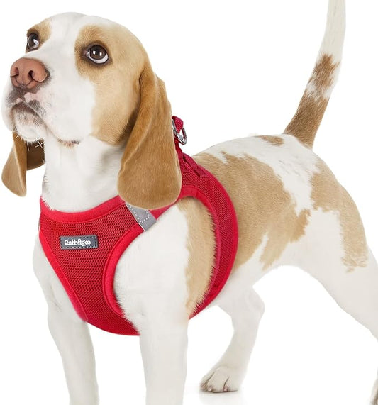 rabbitgoo Small Dog Harness, Step-in Soft Mesh Puppy Vest with Safety Buckle, Breathable Reflective Pet Harness for Small Sized Dogs, Red M