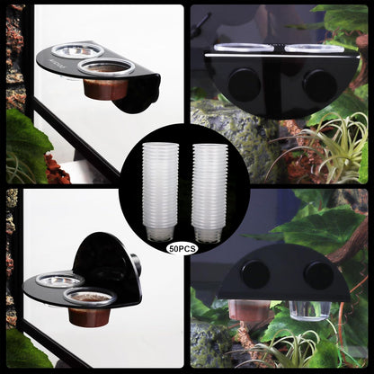 AIICIOO Gecko Feeder Ledge Cup 1oz Plastic Bowls 50 Pack Reptile Food Feeder Water Dish Ledge Accessories Bowls for Crested Gecko Lizards Chameleon Spiders Snake Frogs