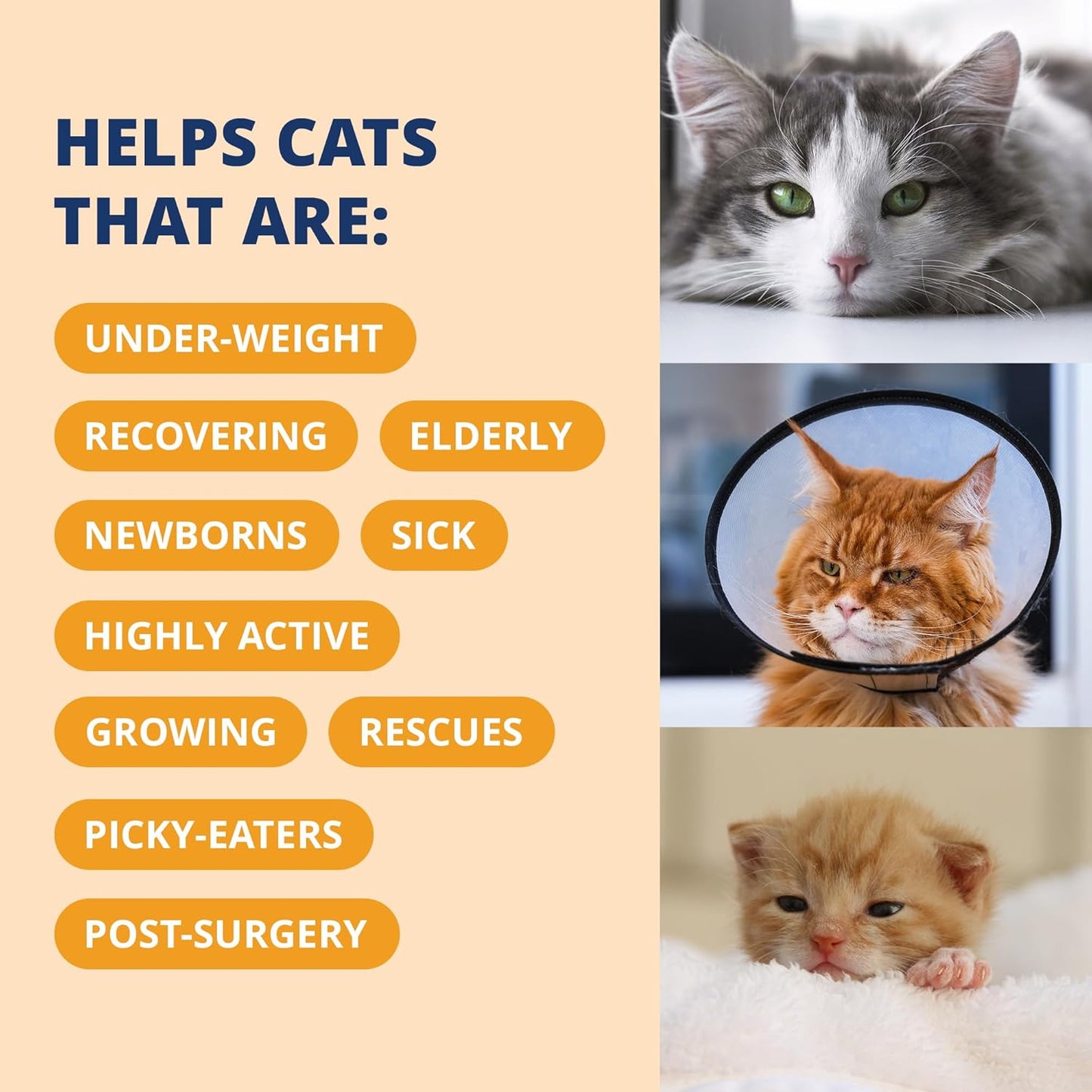 Under the Weather Pet Electrolytes Ready Cal Plus Gel for Cats | Vet-Formulated High-Calorie Supplement for Cats & Kittens | Promotes Weight Gain & Boosts Energy for Sick Felines | 3.5 Oz Tube Pack