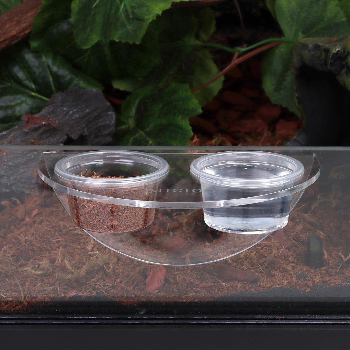 AIICIOO Crested Gecko Food Dish - Strong Magnetic Reptile Feeding Ledge for Bearded Dragon Lizard Crested Gecko Tank Accessories with 6 Pack Plastic Cup