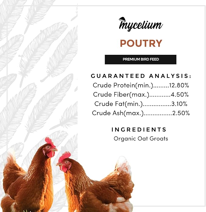 Mycelium Premium Oat Groats – Organic, Non-GMO, High Nutritional Value Poultry Food for Chickens, Ducks, & Turkeys, Sourced from Local USA Farms, Sustainable Farming, 5 lbs