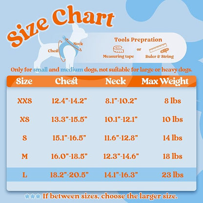 rabbitgoo Dog Harness Small Sized and Leash Set, Step-in Breathable Pet Harness, Soft Walking Reflective Puppy Vest for Small Dogs, Light Blue & Orange, L