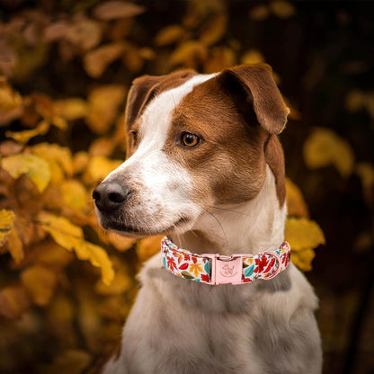 Elegant little tail Fall Dog Collar, Autumn Leaves Pet Collar Durable Dog Collars Male or Female Holiday Pet Gift Adjustable Dog Collar for Small Dogs