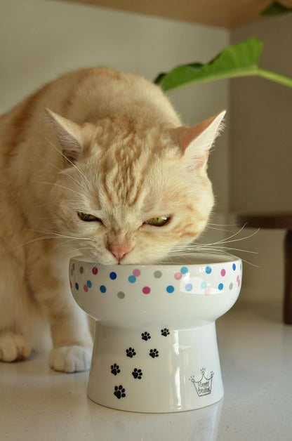 Necoichi Elevated Cat Water Bowl – Ceramic Raised Cat Bowl, Prevents Neck & Whisker Fatigue – Dishwasher & Microwave Safe – Pet Water Bowl for Cats (Colorful Dots, Extra Tall)