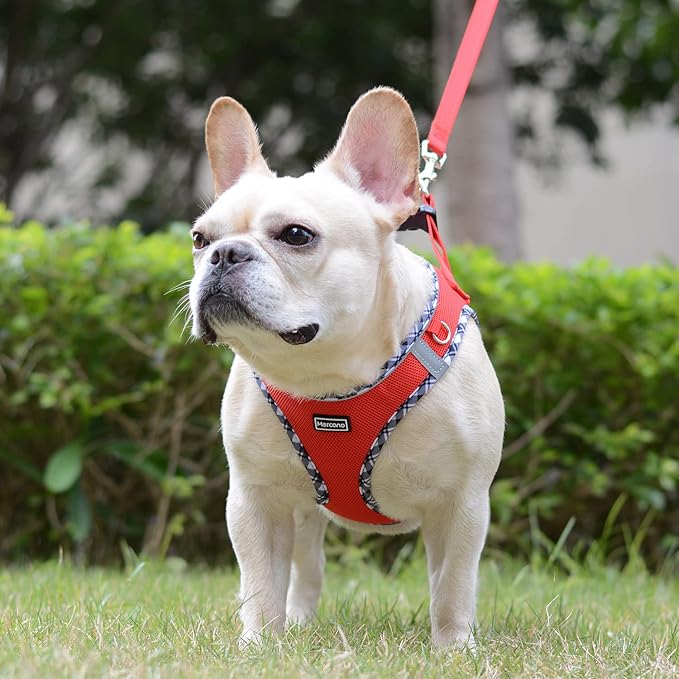 Mercano Soft Mesh Dog Harness and Leash Set, No-Chock Step-in Reflective Breathable Lightweight Easy Walk Vest Harnesses with Safety Buckle for Small Dogs, Cats (Red, M)