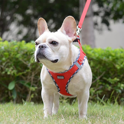 Mercano Soft Mesh Dog Harness and Leash Set, No-Chock Step-in Reflective Breathable Lightweight Easy Walk Vest Harnesses with Safety Buckle for Small Dogs, Cats (Red, M)