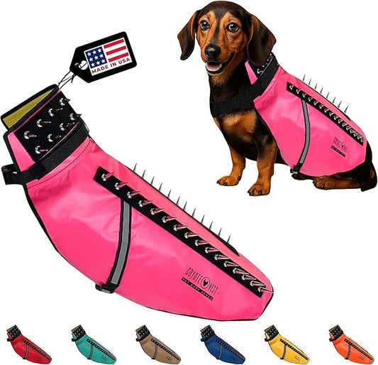 CoyoteVest Dog Harness Protection Vest, Reflective Dog Accessories with Spikes to Shield Your Pet from Raptor and Animal Attacks, Proudly Made in America (Large, Pink)