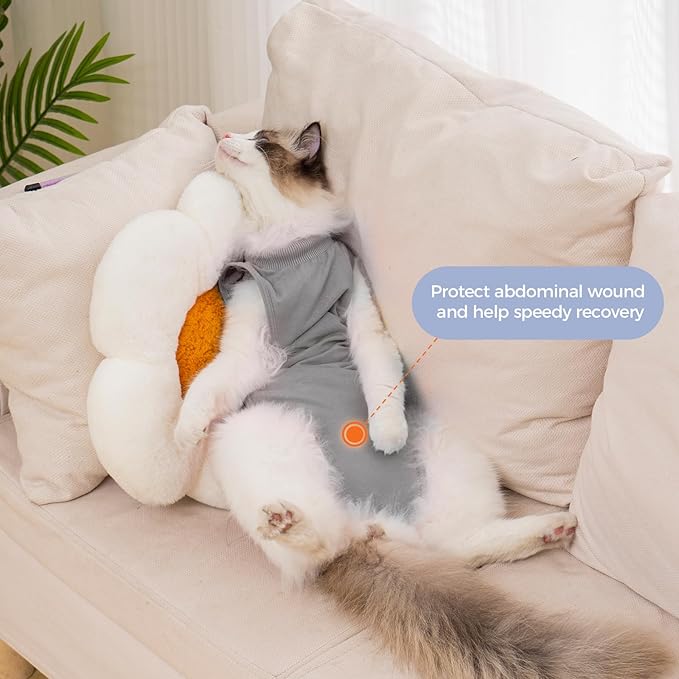 Avont Cat Recovery Suit Post-Surgery Onesie, Breathable Cone-of-Shame Alternative Bodysuit for Spayed Female Kittens, Skin Abdonminal Wound Care -Grey(L)