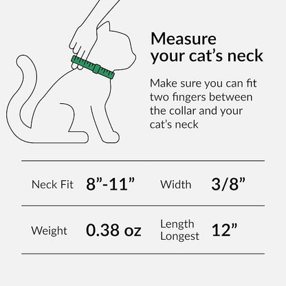 CollarDirect Leather Cat Collar with Bell - Kitten Collar, Small and Big Cat Strap for Boy Cats, Girl Cats with Safety Elastic Strap (Neck Fit 8"-11", Pink)